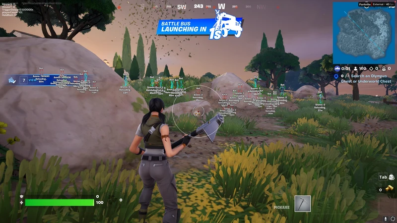 Maxi Cheats ESP and Wallhack Features for Fortnite